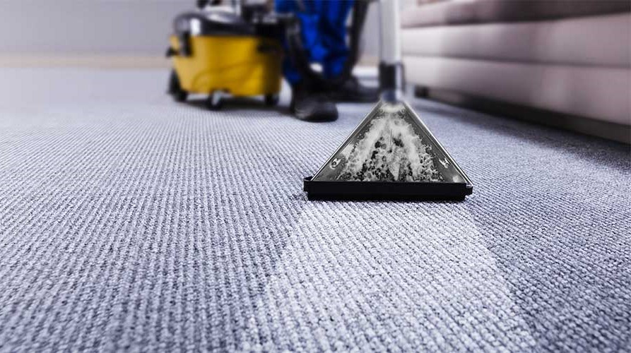 Carpet Steam Cleaning